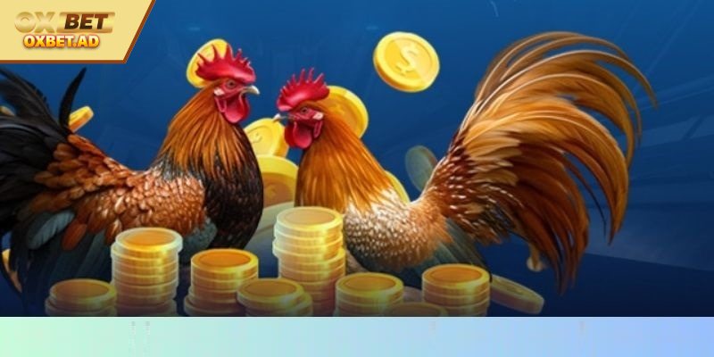 Cam kết minh bạch và hấp dẫn khi tham gia 