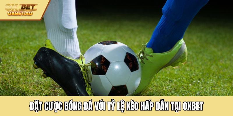 Đặt cược bóng đá với tỷ lệ kèo hấp dẫn tại OXBET