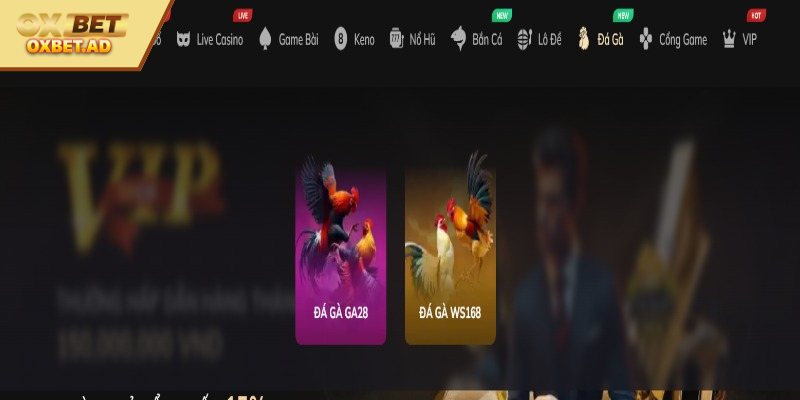 Giới thiệu về đá gà OXBET cho người chơi 