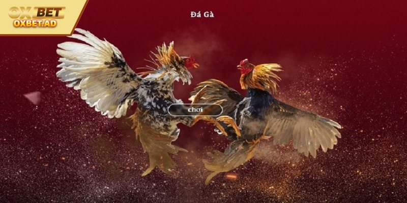 Mức cược linh hoạt thu hút mọi cược thủ 